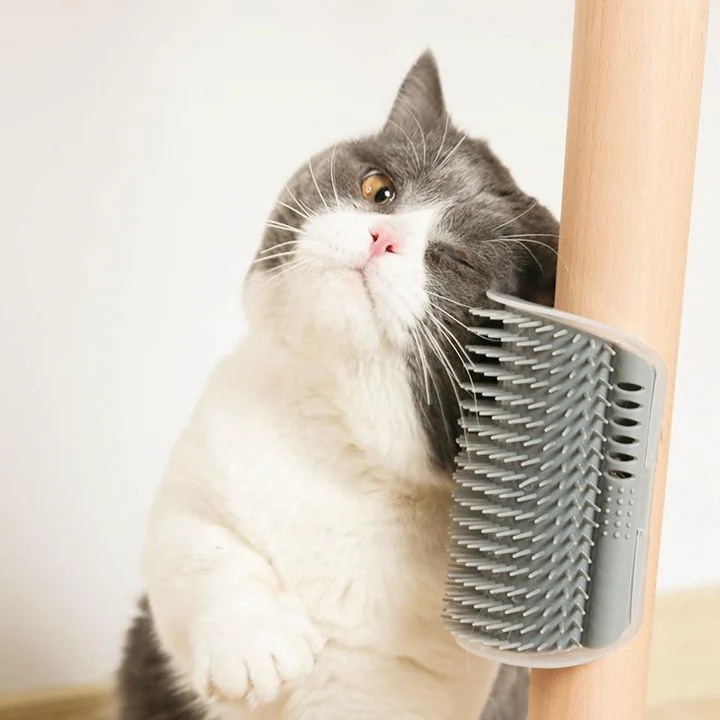 Escova Auto Massageadora Para Gatos